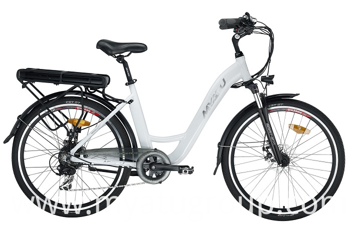 Electric Fat Bike Electric Fat Bike